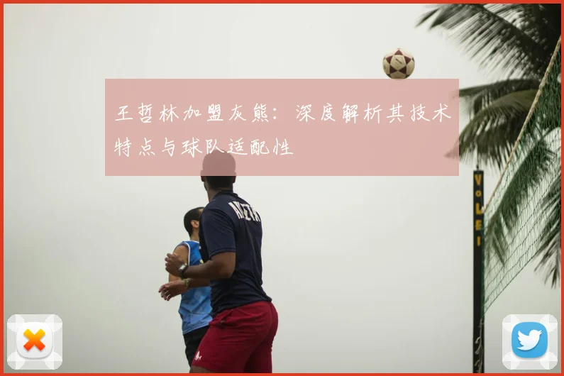 王哲林加盟灰熊：深度解析其技术特点与球队适配性