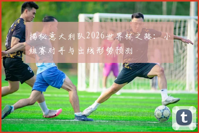 揭秘意大利队2026世界杯之路：小组赛对手与出线形势预测