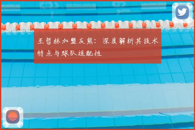 王哲林加盟灰熊：深度解析其技术特点与球队适配性